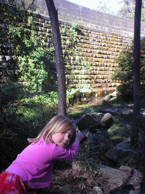 Livi climbs trees