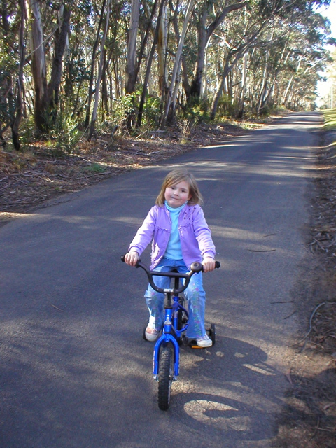 Bike Riding with Poppy at Medlow Bath.