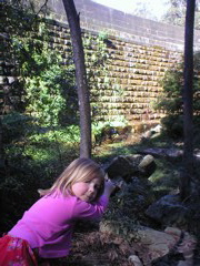 Livi climbs trees