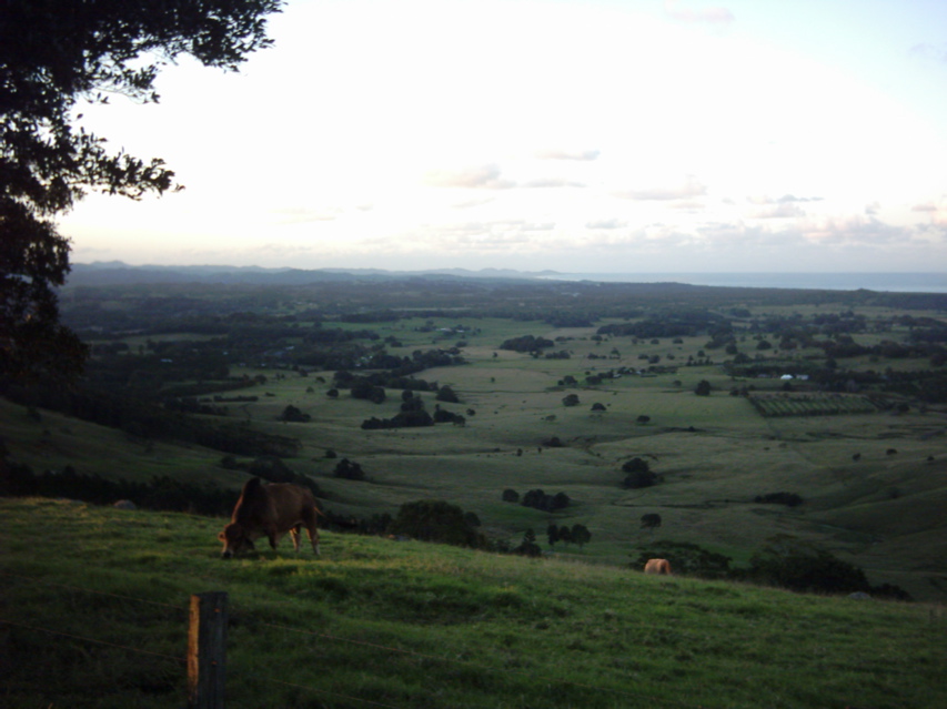 ... to the coastal dairy farms and... The Mullumbimby Folk Club