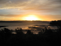 ..and meetings with old friends Margaret Roadnight and Lindsay Campbell...before flying out  at dawn.. to Tamworth