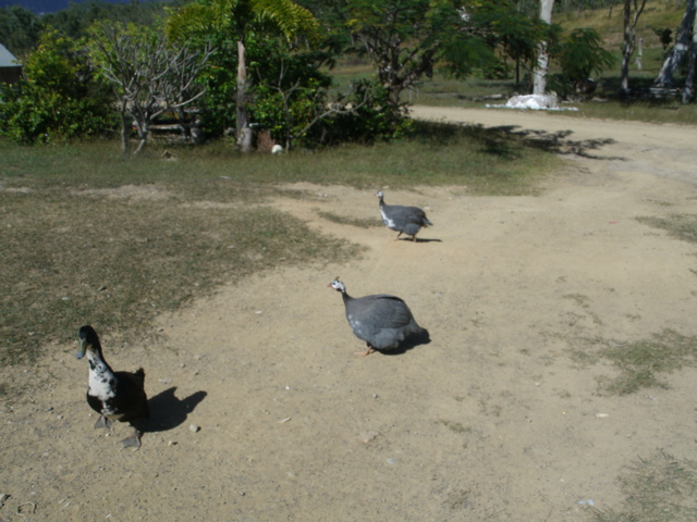 GEDC3019.JPG