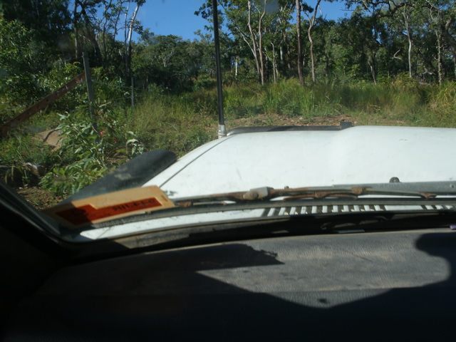 GEDC3052.JPG