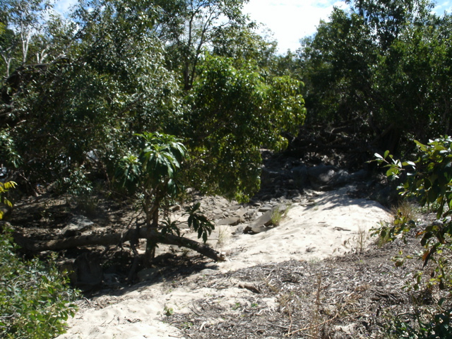 GEDC3020.JPG