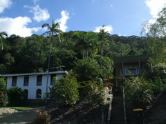 Cairns Streets near Airport 7.JPG