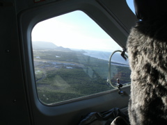 GEDC2958.JPG