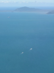 The Great Barrier Reef Near Cairns 4.JPG