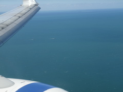The Great Barrier Reef Near Cairns 6.JPG