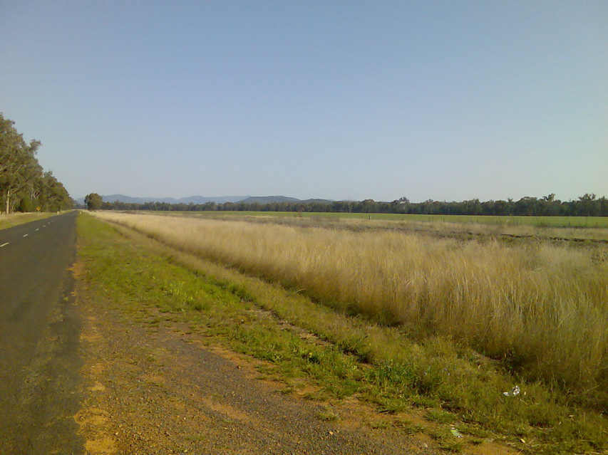 Pillaga-Coonabarabran34