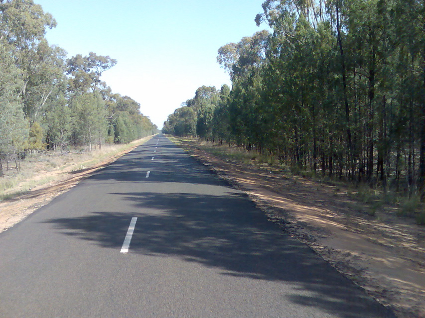 Pillaga-Coonabarabran20