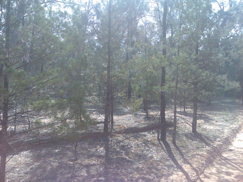 Pillaga-Coonabarabran7