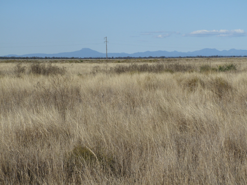 Coonamble-Gulargambone9-.JPG