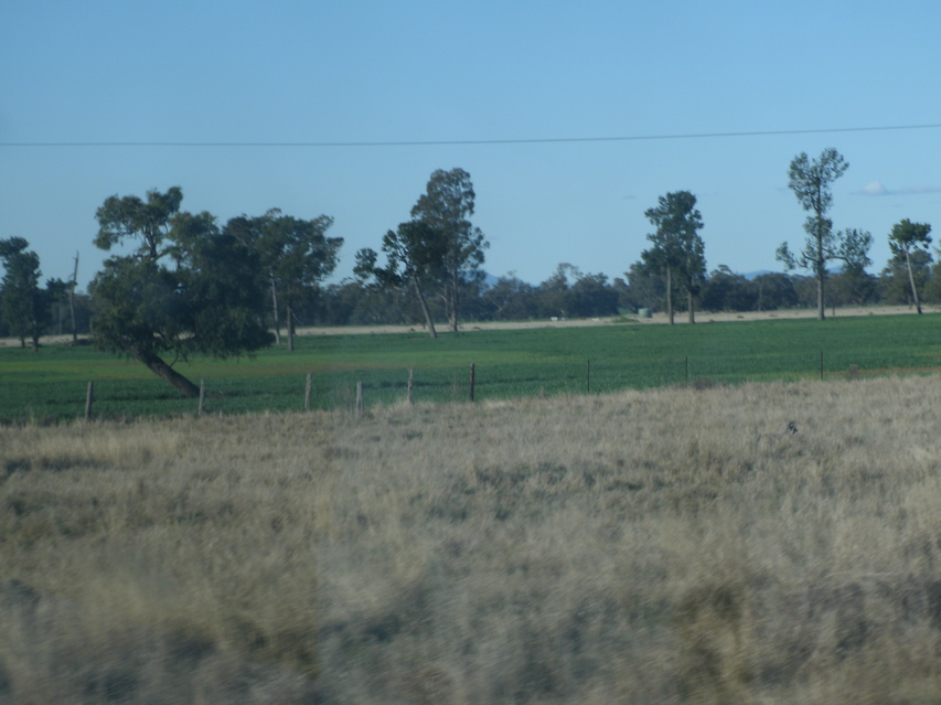 Gulargambone-Gilgandra3.JPG