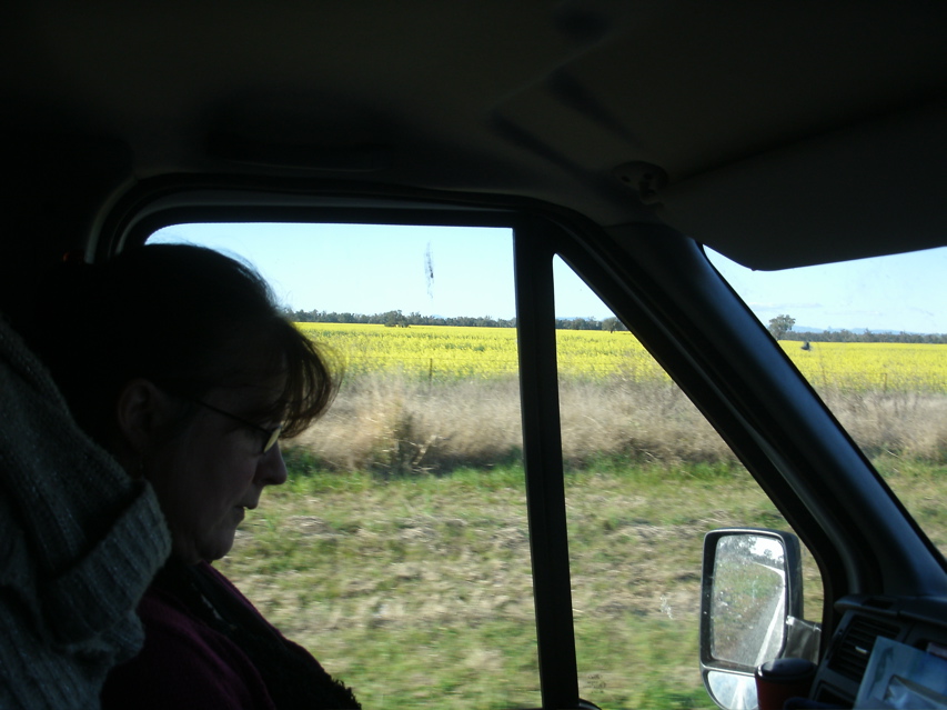 Gulargambone-Gilgandra12.JPG