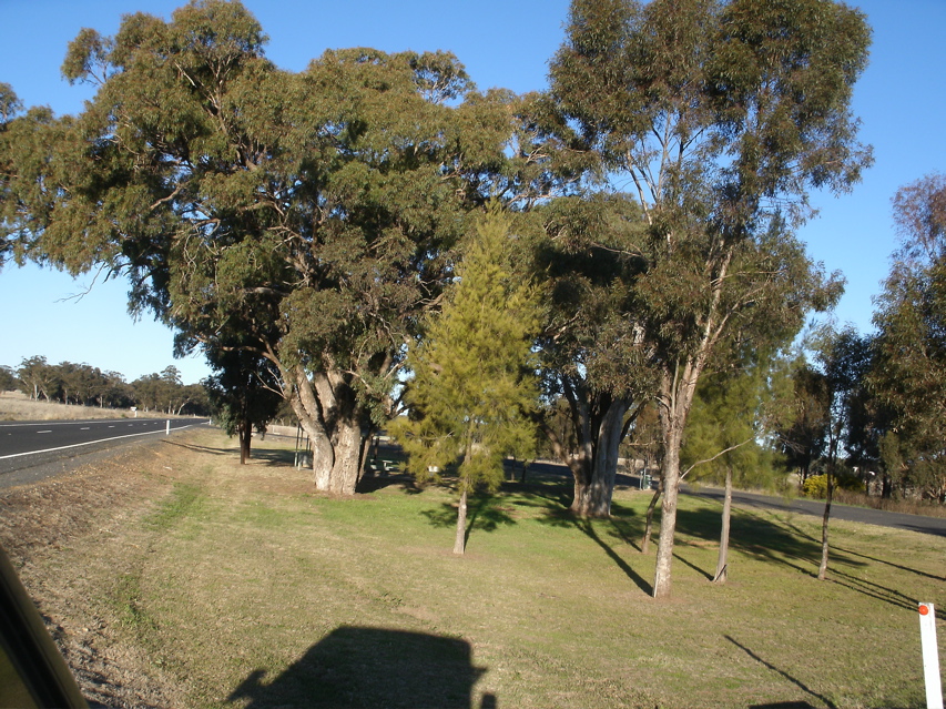 Gilgandra-Mendooran6JimmyBlacksmith.JPG