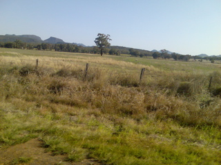 Pillaga-Coonabarabran41