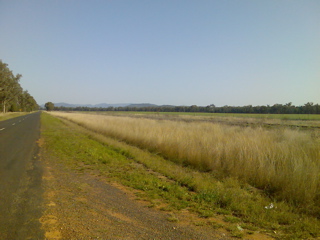 Pillaga-Coonabarabran34