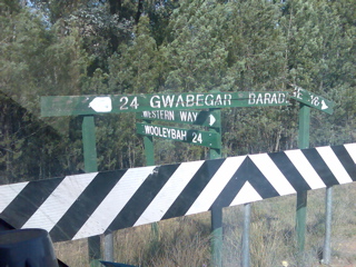 Pillaga-Coonabarabran22