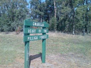 Pillaga-Coonabarabran12