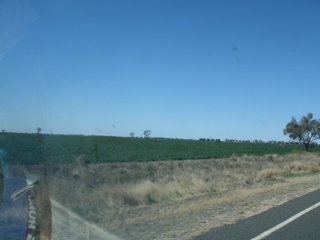 LightningRidge-Coonamble7.JPG