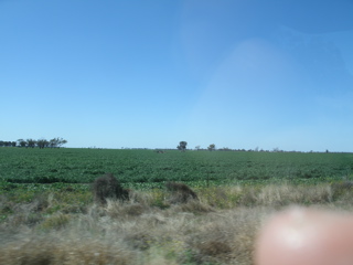 LightningRidge-Coonamble12.JPG