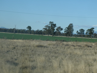 Gulargambone-Gilgandra2.JPG