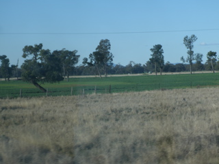 Gulargambone-Gilgandra3.JPG