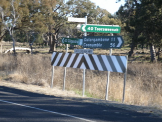 Gulargambone-Gilgandra6.JPG