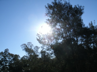 Gulargambone-Gilgandra9.JPG