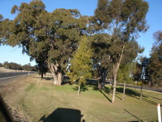 Gilgandra-Mendooran6JimmyBlacksmith.JPG