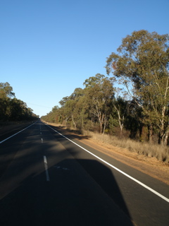 Gilgandra-Mendooran27.JPG