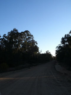 Gilgandra-Mendooran31.JPG
