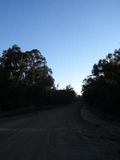 Gilgandra-Mendooran32.JPG