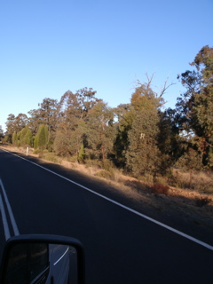 Gilgandra-Mendooran33.JPG
