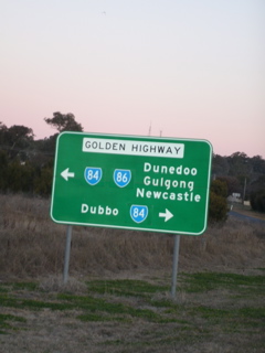 GoldenHGWYnearDunnedo.JPG