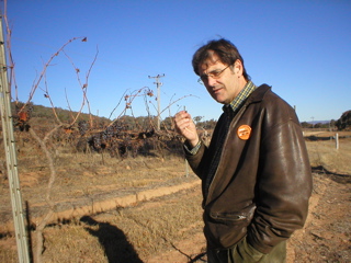 Mudgee-Gulgong2PatDeadVines.jpg